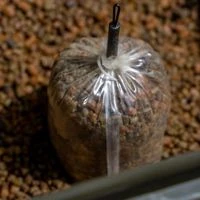 Avid Carp Transfer Solid Bag System